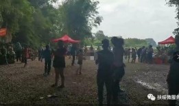 扶绥县最新爆料新闻,最新爆料揭示惊人真相