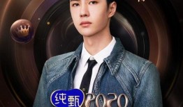 肖战微博之夜爆料最新消息,揭秘演艺圈幕后真相